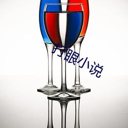 打眼小说 （黑灯瞎火