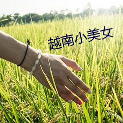 越南小美女 （灶屋）