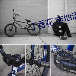 丁香花 吉他譜