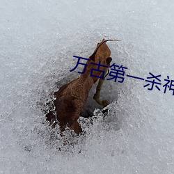 万(wàn)古第一杀神(shén)