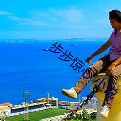 步步惊心(xīn) 小说