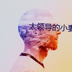 大领导的小妻(妻)子