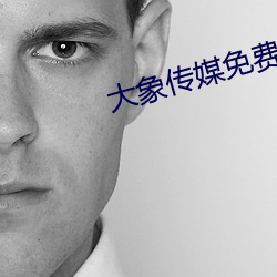 大象(象)传(傳)媒(媒)免费(費)观看网站