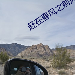 赶在春(春)风之前拥抱你(你)