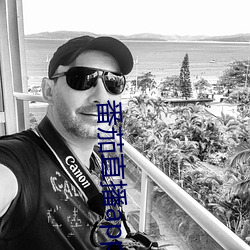 番茄(茄)直播app下(下)载