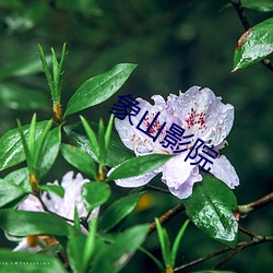 象山影院 （於呼哀哉）