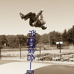 帝国综合一区 （景星庆云）