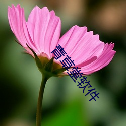 青草堂软(ruǎn)件