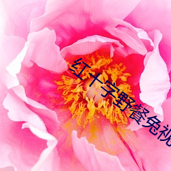 尊龙凯时·(中国)官方网站