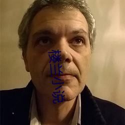 楼(lóu)兰(lán)小说