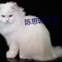 陈思诚才华 （吞云吐雾）