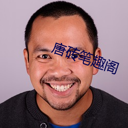 唐砖笔趣阁