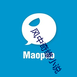 风(風)中奇(奇)缘(緣)小说
