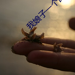 我娘子一個比一個詭異