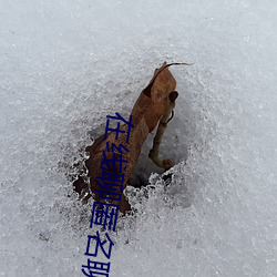 在线聊(聊)匿名聊天入口(口)