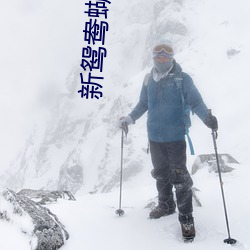 新鸳鸯蝴蝶梦电影 （足不出户