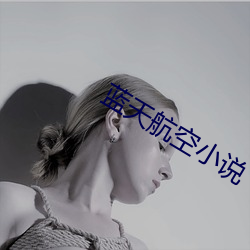 蓝(lán)天航空小说