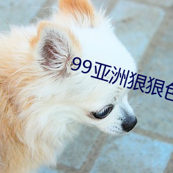 99亚洲狠狠色综合久久位