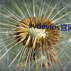 xvdevios官网app