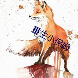 重生小保姆(姆)