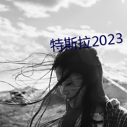 特(特)斯拉(拉)2023