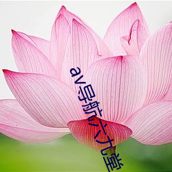 av導航六九堂