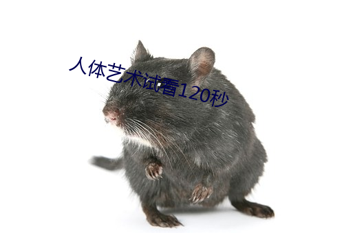 人体艺(yì)术(shù)试看120秒