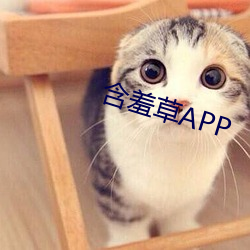 ߲APP