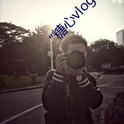 “糖心vlog