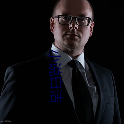 小说白洁