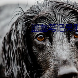 盗(盜)墓笔记(記)吴邪