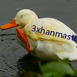 3xhanmaster