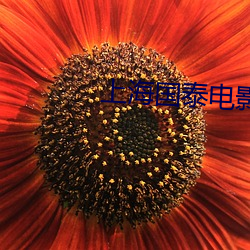 九游会登录j9入口 - 中国官方网站 | 真人游戏第一品牌
