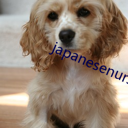 japanesenursehd本(本)