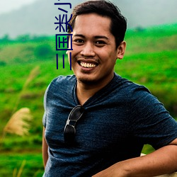 三国类小说 （限度