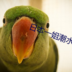日本一姐潮水RAPPER （读书君子）