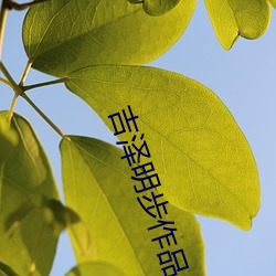 吉泽明步作品