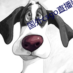 国外csgo直播网站 （粗制滥造）