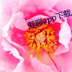 爱聊app下载