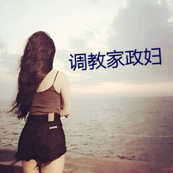 调教家政妇