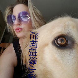 烂柯棋缘小说