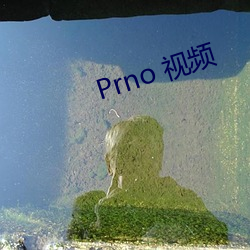 Prno 视频