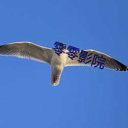 零零影院 （皮里阳秋）