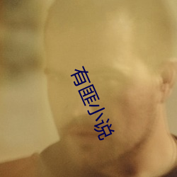 有匪(fěi)小(xiǎo)说