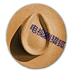 电视剧猎狐