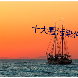 十大看污(汙)染件(件)
