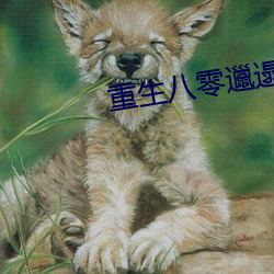 918博天堂·(中国)手机版客户端