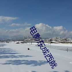 电影东成西就