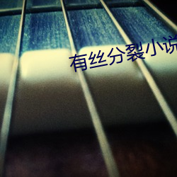 有丝(sī)分裂(liè)小说