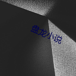 盘龙(龍)小说